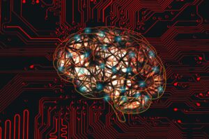 Cercetătorii au realizat prima hartă 3D completă a conexiunilor neuronale din creierul unui mamifer