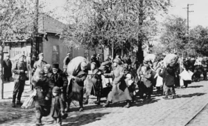 Foametea uitată care a ucis 200.000 de români. Genocidul ascuns din Basarabia, orchestrat de sovietici