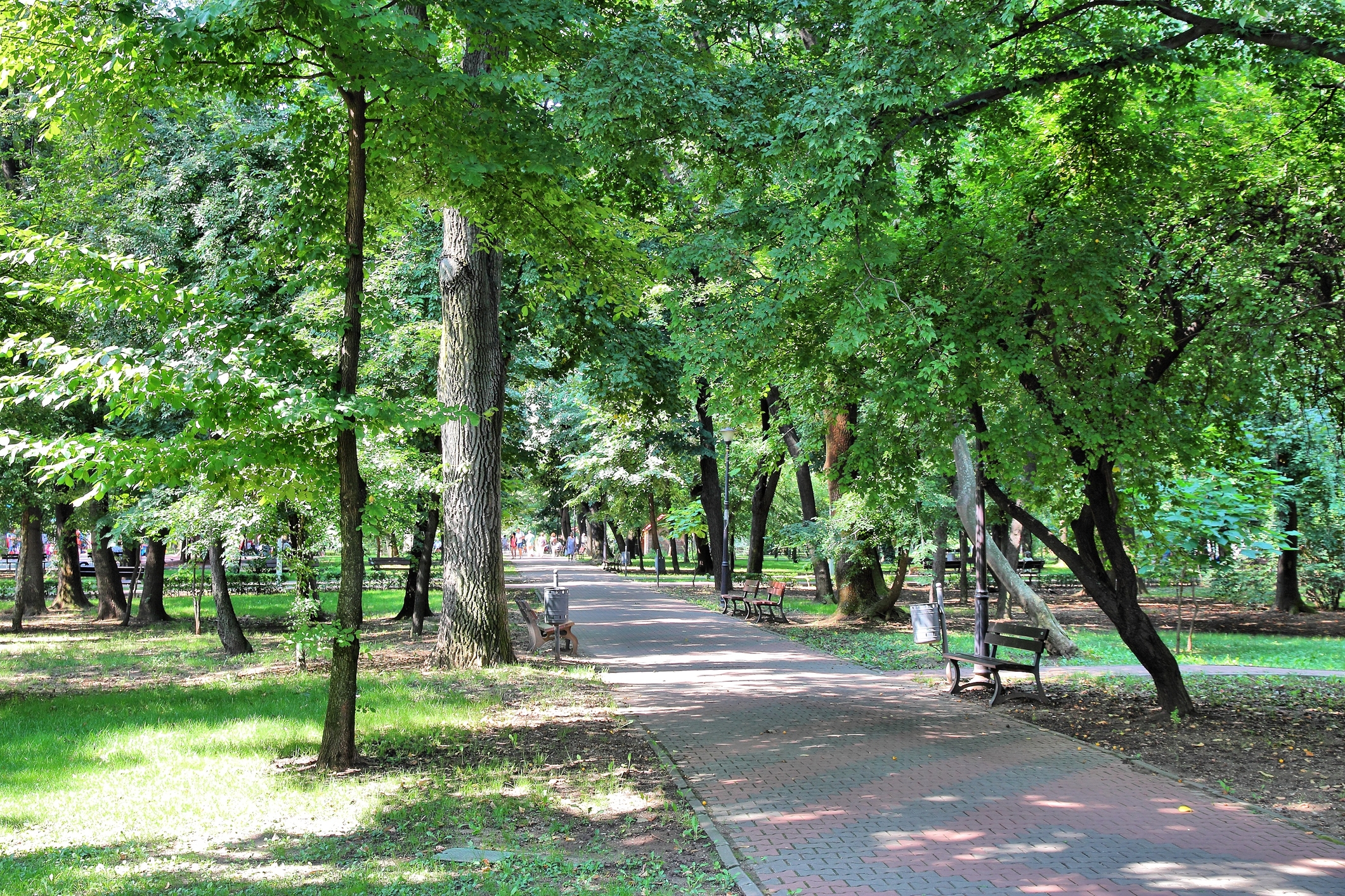Parc