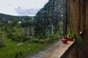 Adio, grătare! Minivacanța de 1 Mai e compromisă. Weekendul aduce ploi abundente în toată țara