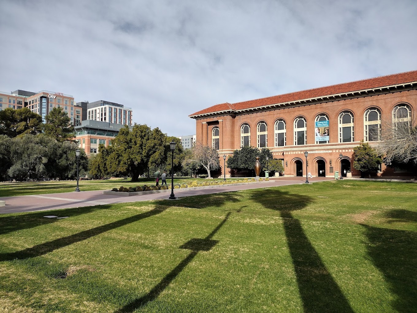 Universitatea din Arizona