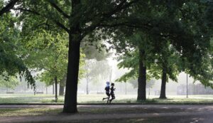 Parkrun: Activitatea recreativă care ridică dileme medicale și sociale