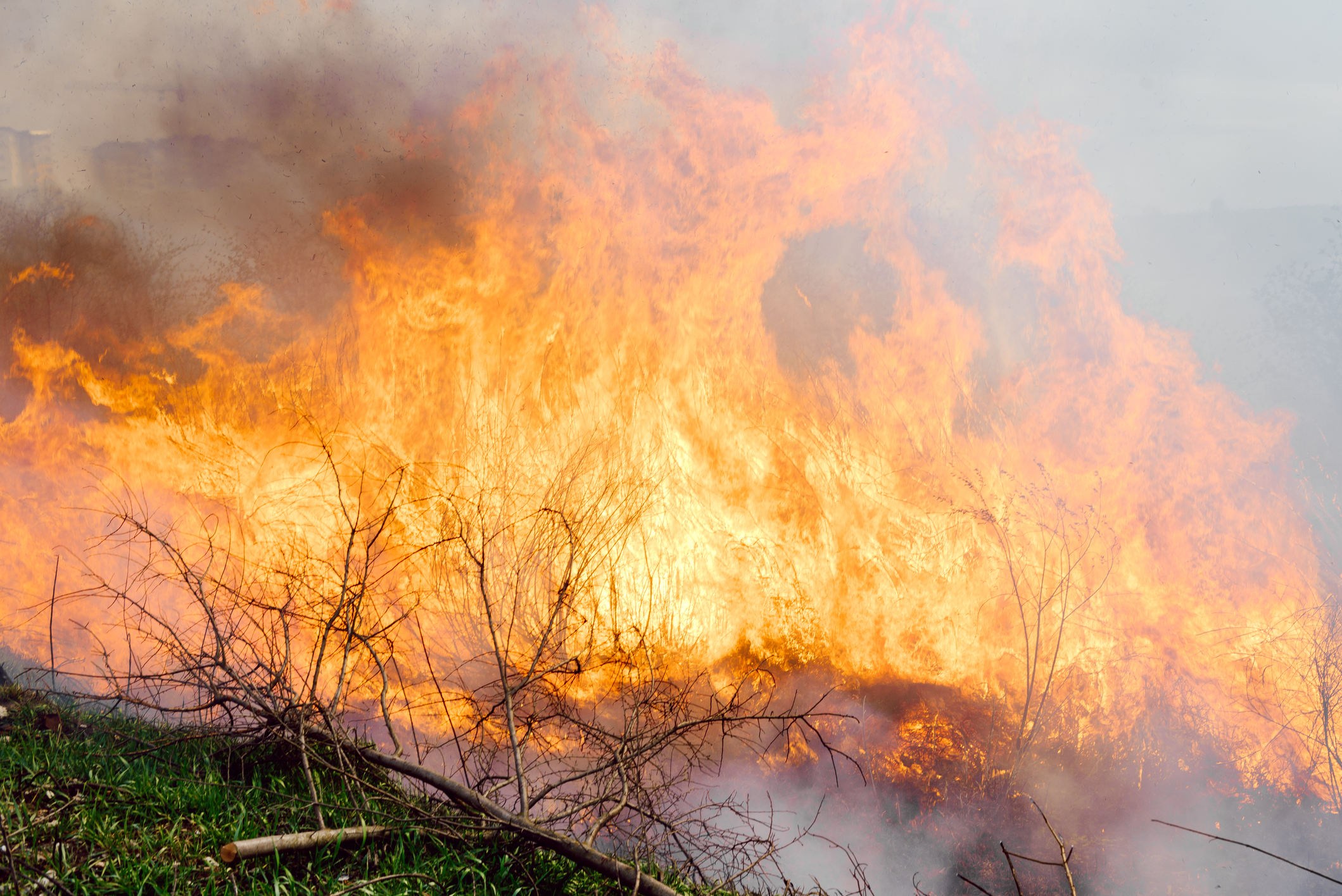 incendii de vegetatie