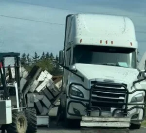 Milioane de albine, în libertate după un accident rutier. Au fost trimise avertismente