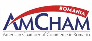 România, pe buza prăpastiei. AmCham cere politicienilor dialog cu mediul de afaceri
