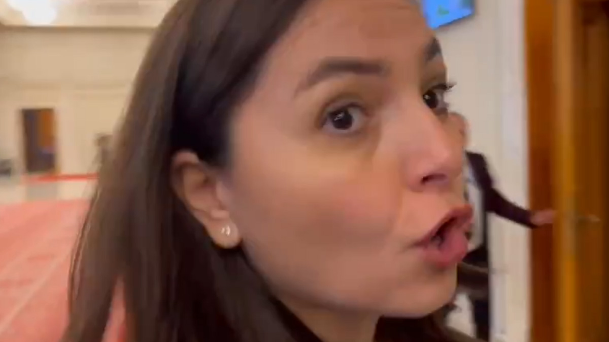 Scandal la Parlament, după ce Anamaria Gavrilă i-a amenințat pe jurnaliști