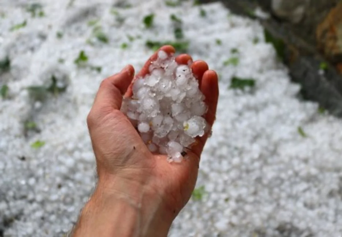 Sistemul antigrindină, oprit în plină criză climatică. Ion Arion, președinte Pro Agro: „Vița de vie este cea mai afectată”