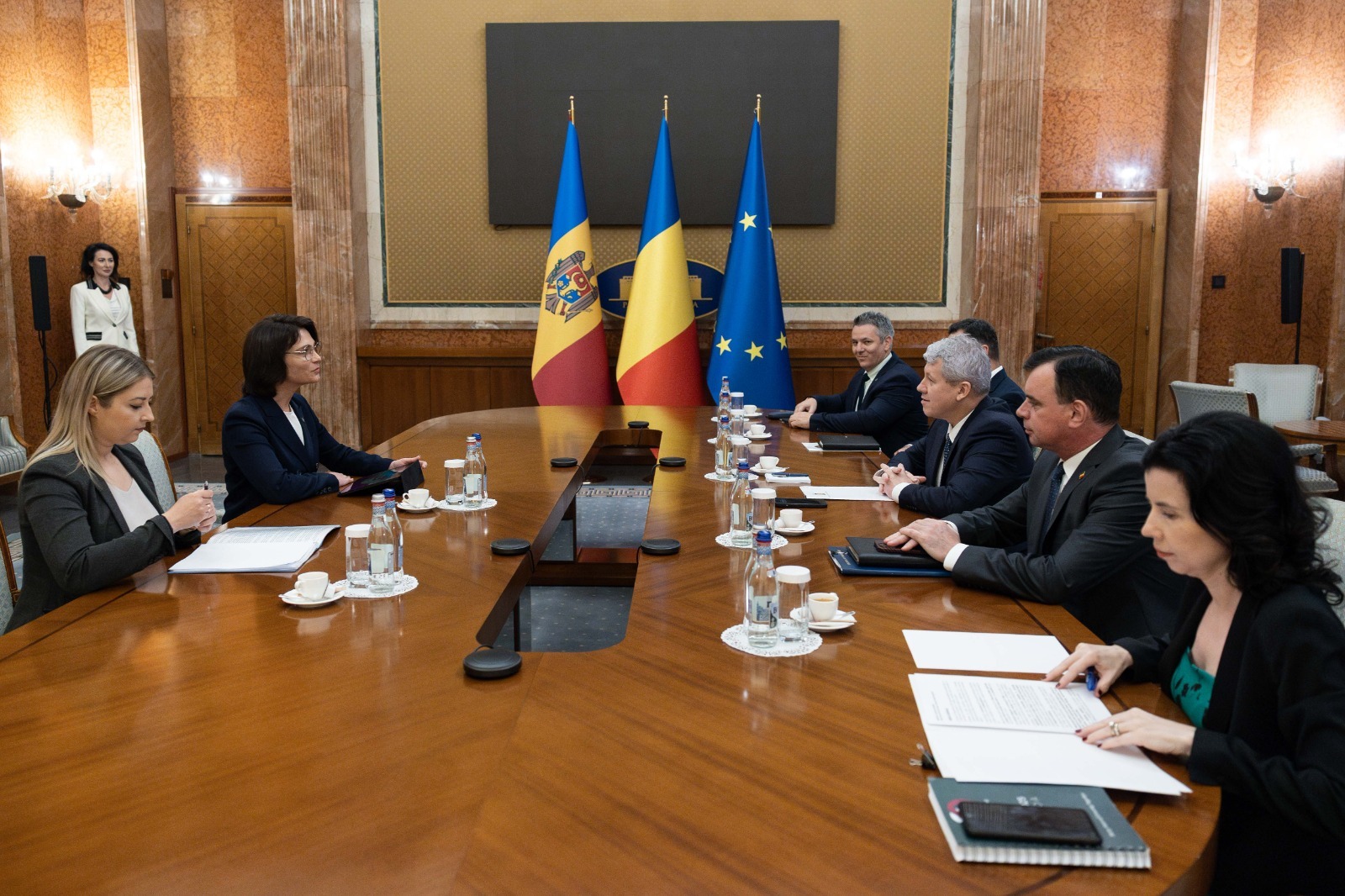 Daniella Misail-Nichitin și Cătălin Predoiu