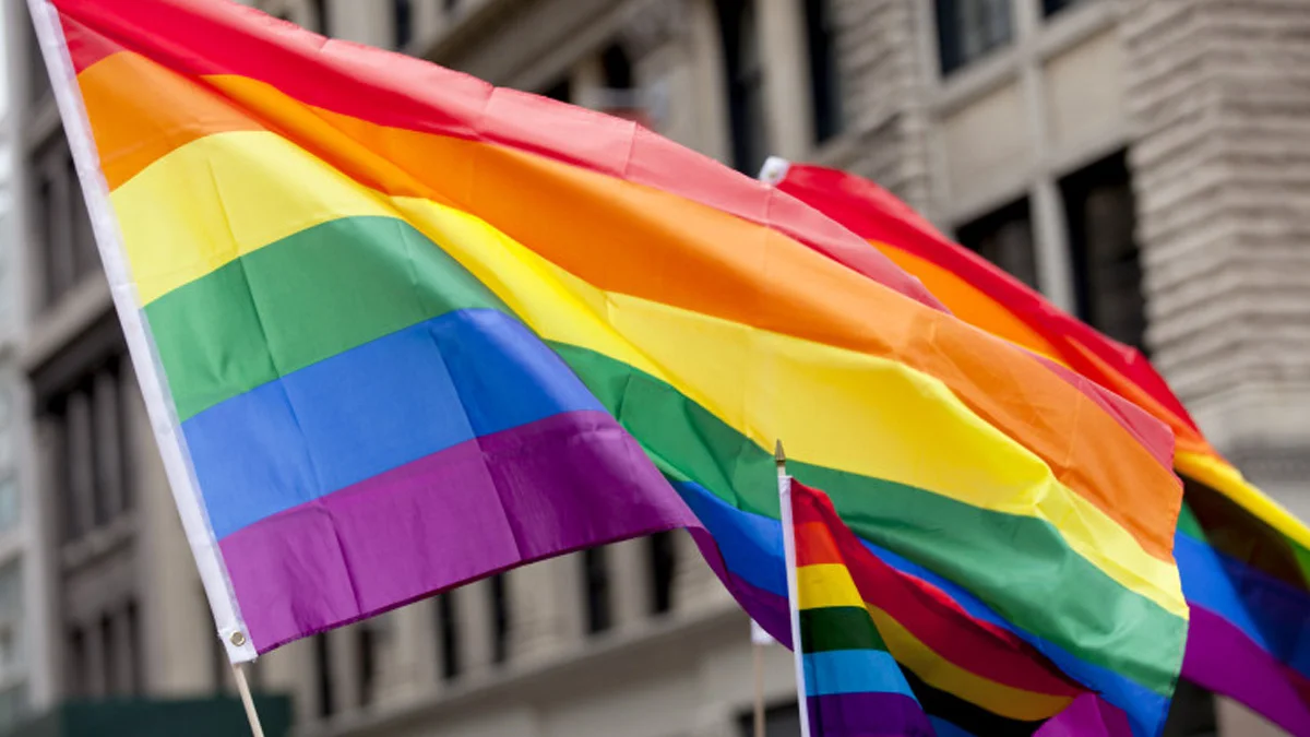 Nicușor Dan și Simion, despre legalizarea căsătoriilor gay