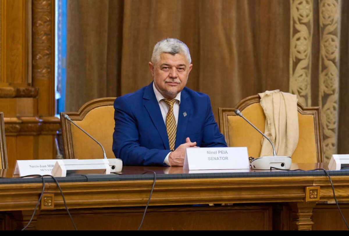 Senatorul AUR Ninel Peia, afirmații jignitoare în Senat. Se cer sancțiuni dure