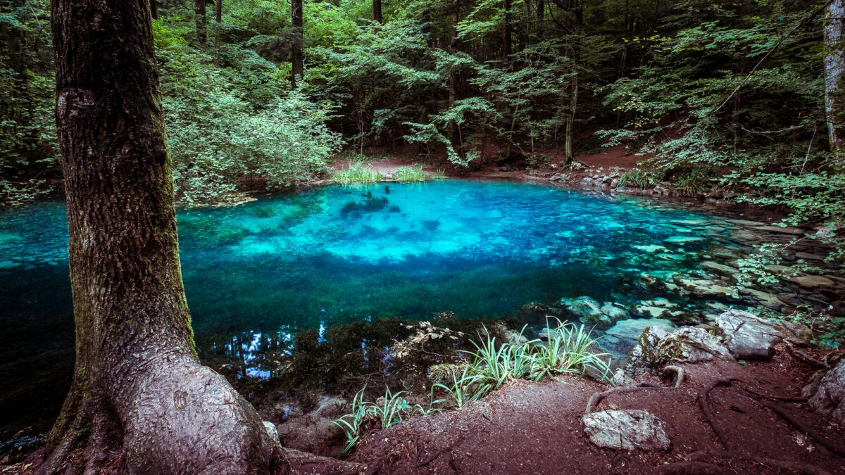 Lacul din România care nu îngheață niciodată. Un colț de natură miraculos, unde te vindeci de depresie