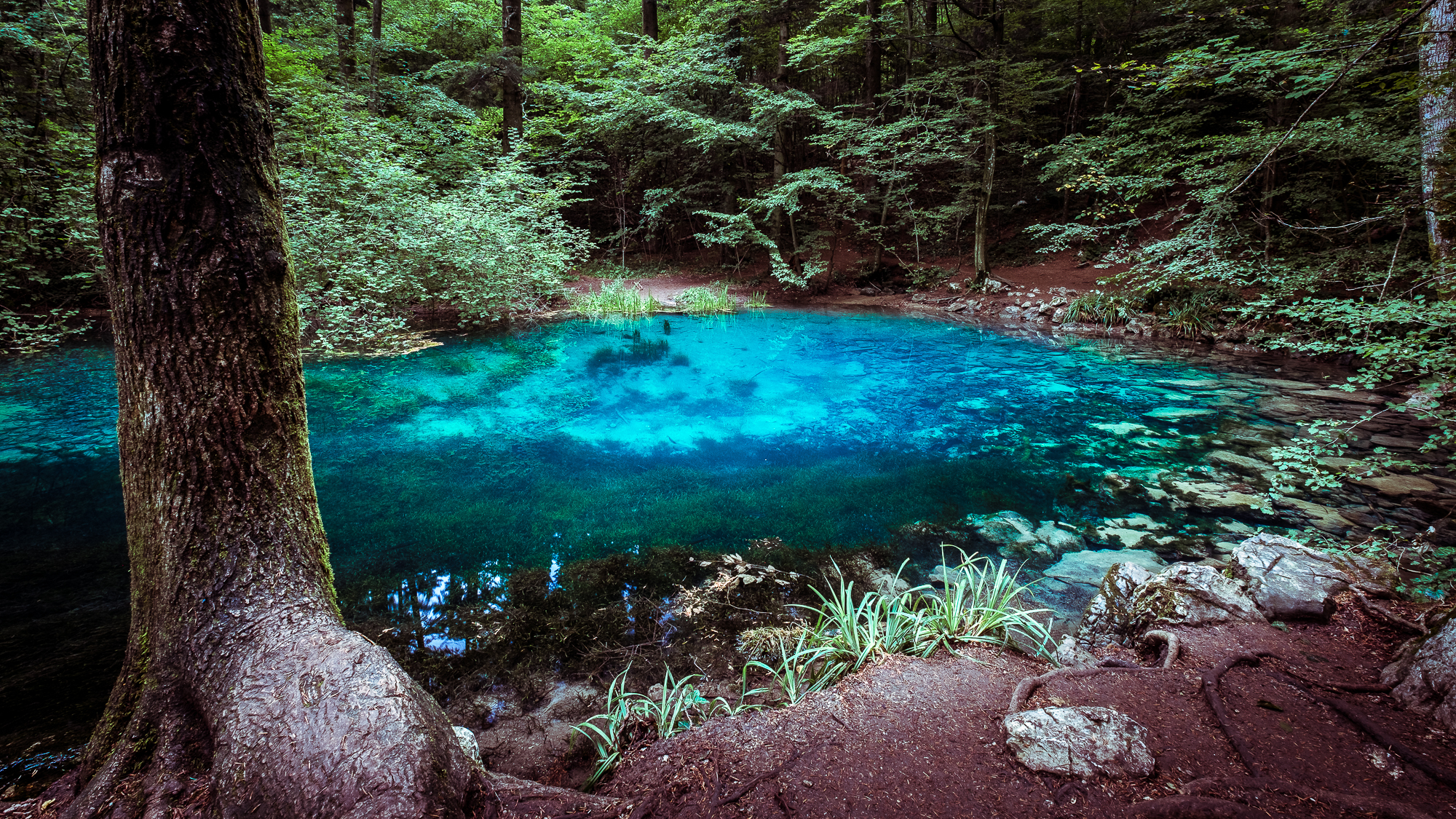 Lacul din România care nu îngheață niciodată. Un colț de natură miraculos, unde te vindeci de depresie