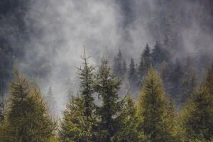 Zona din România care îi fascinează pe străini. Ce i-a impresionat cel mai mult