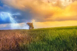 Anotimpurile viitorului și fenomenul meteo din ce în ce mai întâlnit în țara noastră