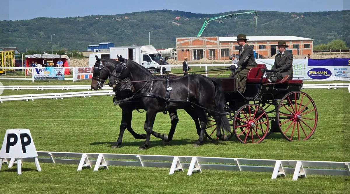 Concursul internațional de atelaje Oșorhei