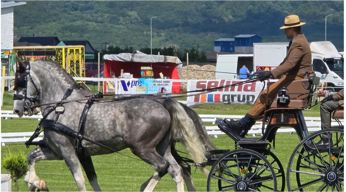 Cai și atelaje de sute de mii de euro, în cea mai scumpă competiție după Formula 1