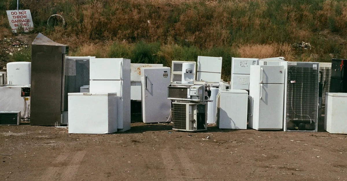 A fost lansată o nouă sesiune a Programului EcoVoucher. Ghid complet pentru beneficiari