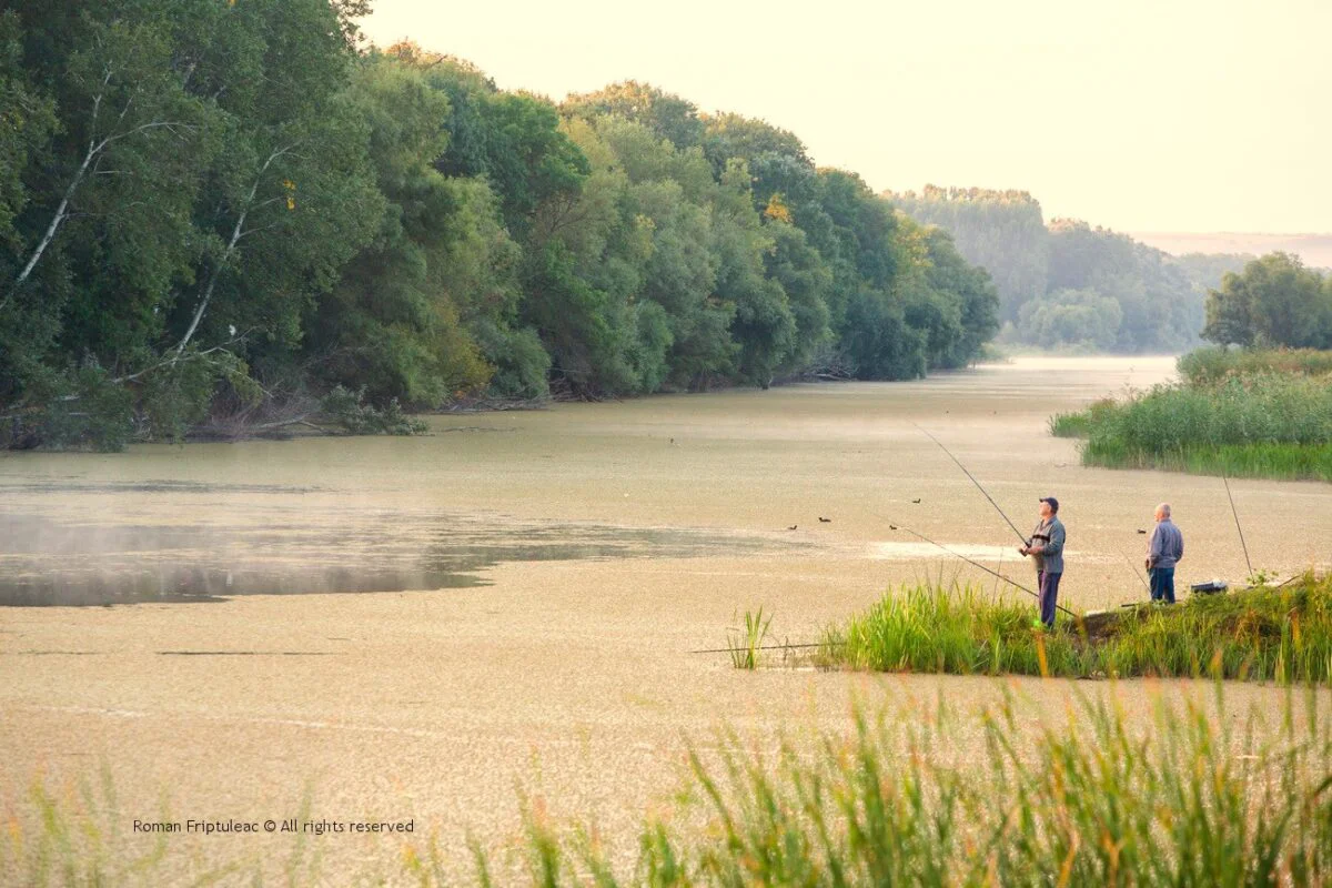 Parcul Nistru de Jos, minunea naturală din Republica Moldova