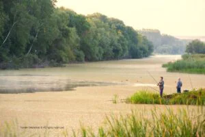 Parcul Nistru de Jos, minunea naturală din Republica Moldova
