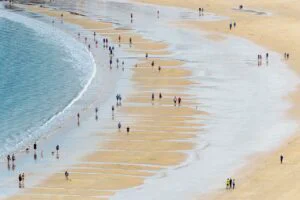 Panică pe o plajă frecventată de români. Rechinii s-au apropiat de mal