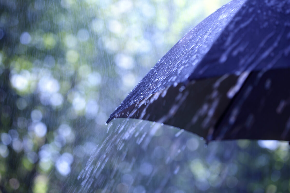 Alertă meteo în România. Ploi, lapoviță, ninsoare și vânt. Cât mai ține frigul