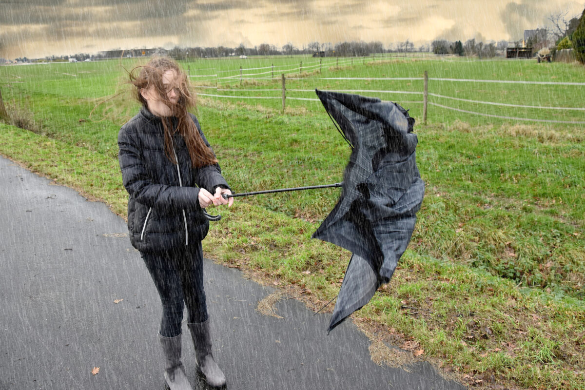 Cod galben de vânt în Republica Moldova. Rafale de peste 70 km/h în mai multe regiuni