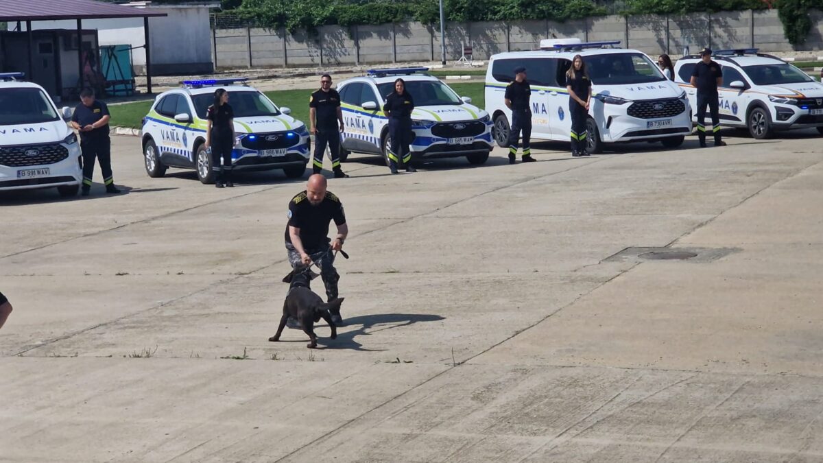 România ar putea reintroduce controalele la granițe. Ce pregătește Guvernul