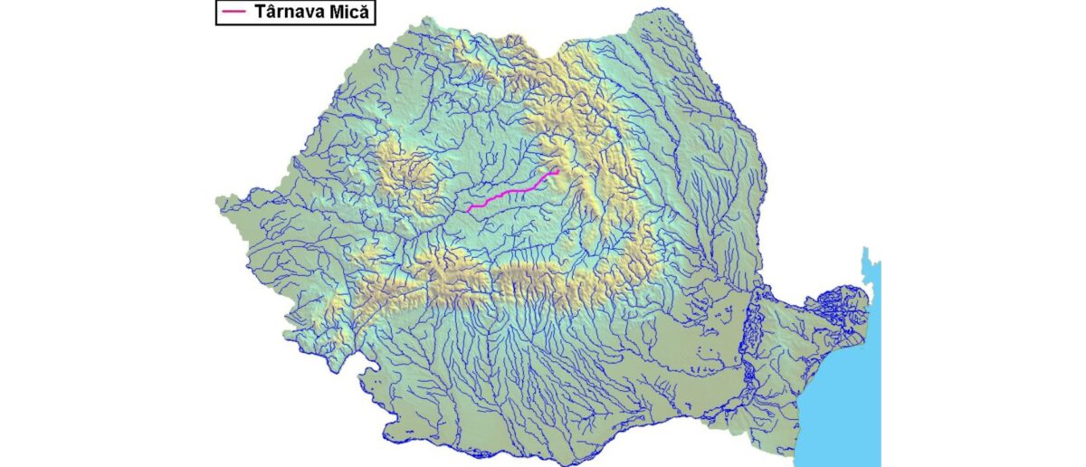 Situație critică în Mureș. Râul Târnava Mică poluat, autoritățile caută soluții de urgență