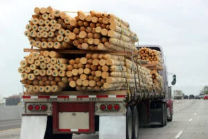 Traficul de lemn, sancționat de autorități. Zeci de persoane sunt cercetate de procurori