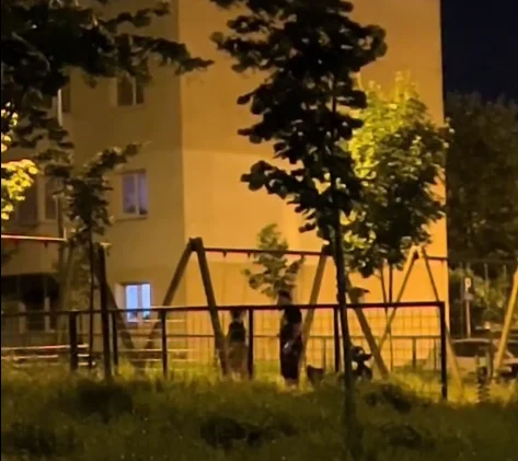 O femeie a fost bătută crunt de soțul ei, chiar sub privirile copilului: Video