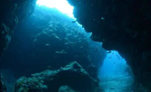 Un mister geologic, descoperit întâmplător. Istoria planetei ar putea fi rescrisă