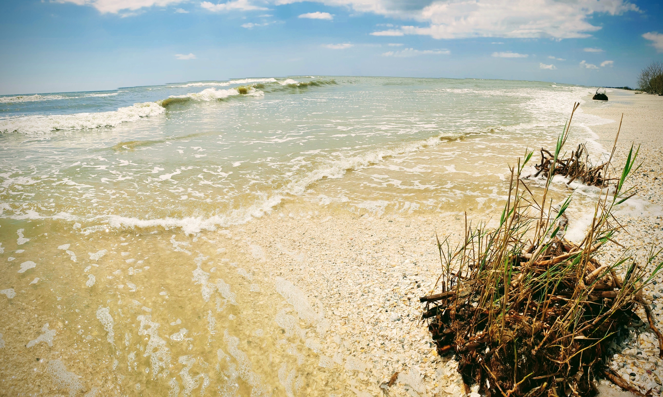 Bătălia pe plajele nou formate rămâne cu licitație publică. Deputații au decis ca nu acceptă varianta de atribuire directă