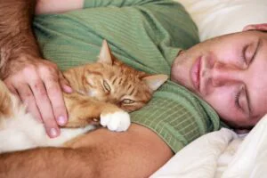 Ce riști dacă lași un animal să doarmă lângă tine. Avertismentul medicilor