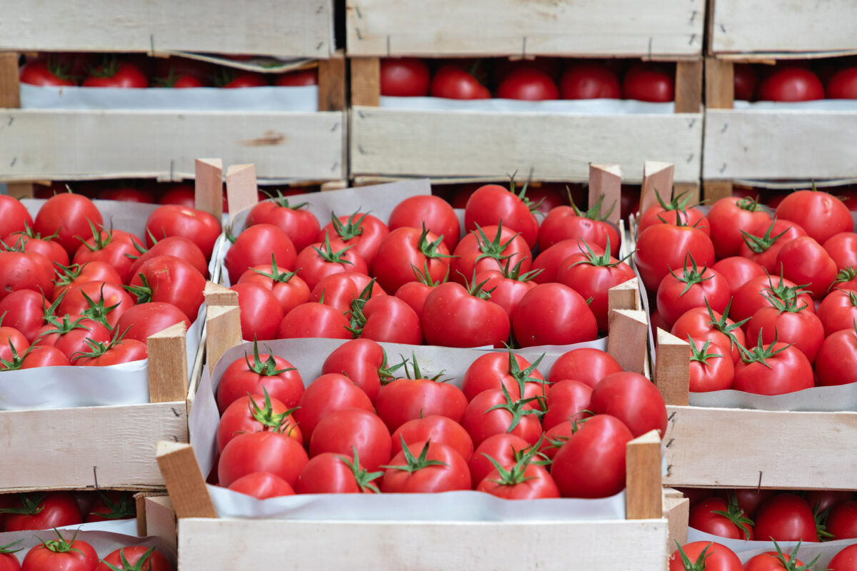 Roșiile românești devin un lux. Prețuri de până la 100 de lei pe kilogram și un efect în lanț care lovește piața alimentară