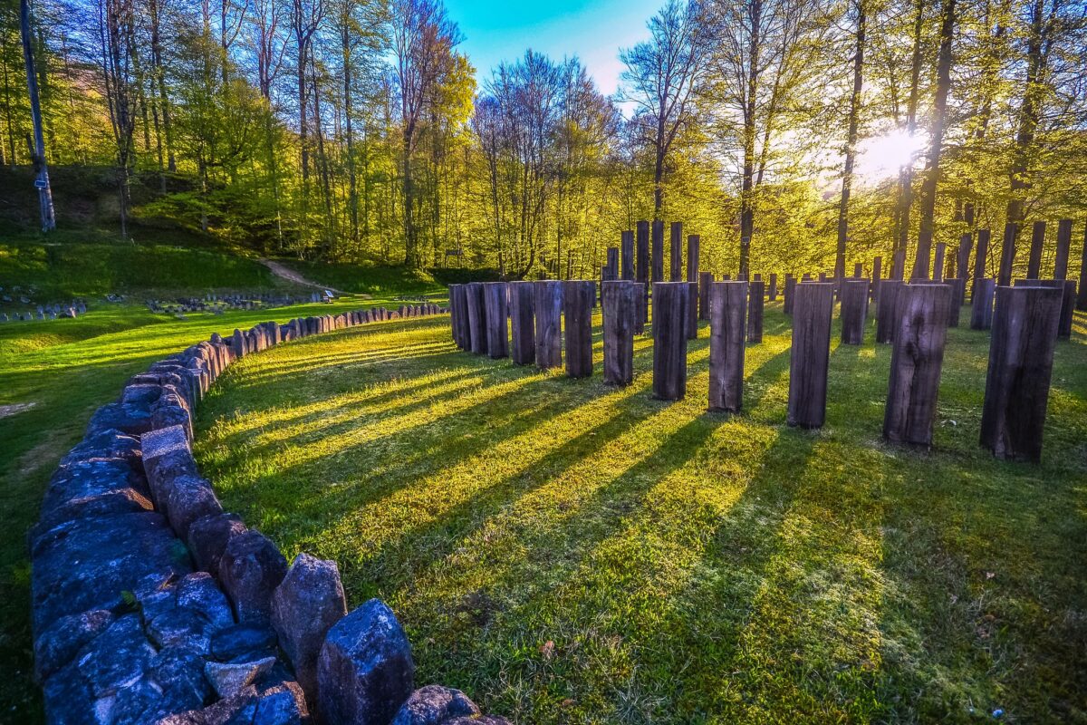 Sarmizegetusa Regia se luptă cu natura. Pericolele care amenință moștenirea dacică