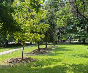 Totul Verde pregătește un super parc în zona Unirii
