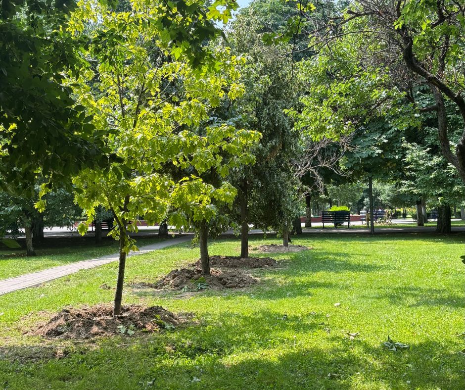 Totul Verde pregătește un super parc în zona Unirii