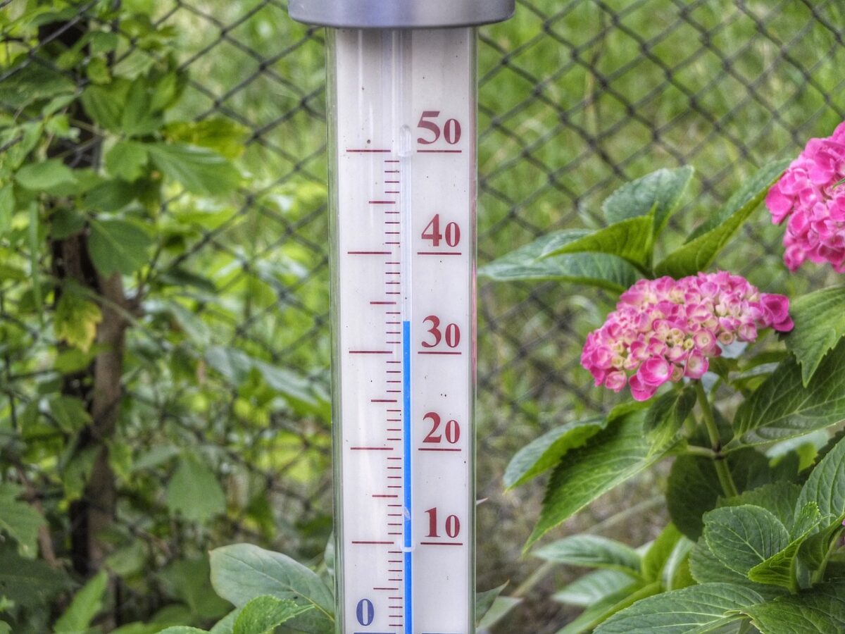 Prognoza meteo, 2 iulie: căldura sufocantă persistă în majoritatea regiunilor României