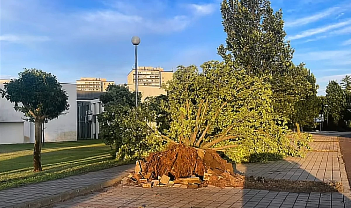 Furtuna deceniului a lovit Ungaria. Haos în transport și pene masive de curent