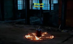 Două lungmetraje românești, în competiția oficială a Festivalului de Film de la Locarno