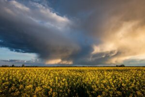 Prognoza meteo, 31 iulie. Ultima zi a lunii aduce furtuni și grindină