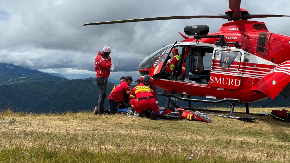 Prahova: Un cioban a fost grav rănit după ce a încercat să alunge un urs cu o petardă