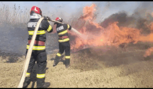 Incendiu devastator în Bihor pe sute de hectare. Un bărbat, arsuri pe 50% din corp