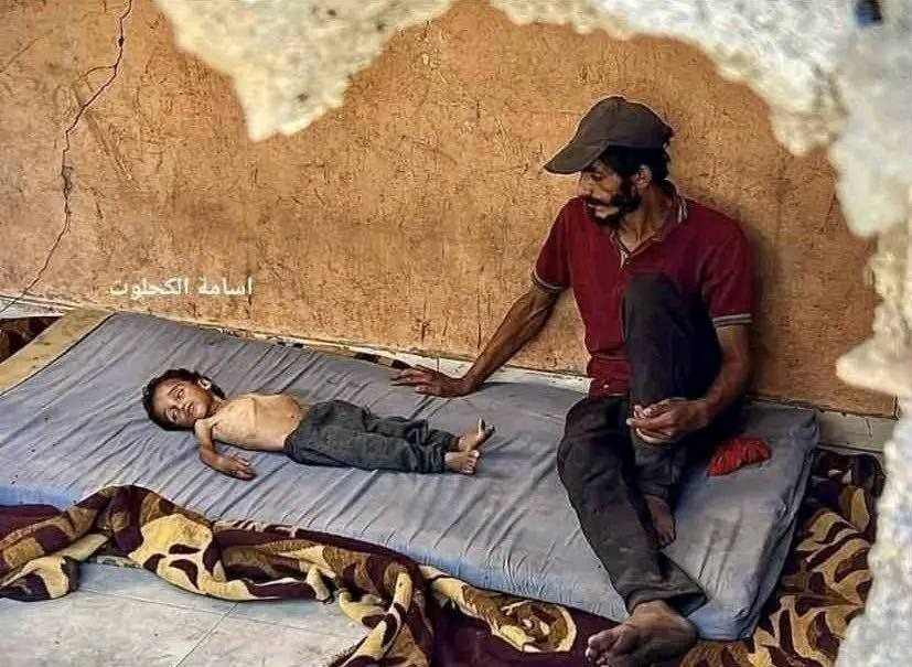 Israelul demontează o manipulare New York Times despre Gaza. Adevărul despre „foamete”