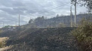 Pompierii avertizează din nou. Pericol major de incendii de vegetație pe fond de caniculă și vânt