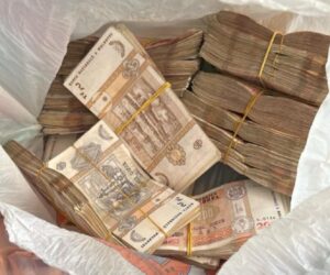 Corupție la Edineț: Polițiști acuzați că au închis ochii la afaceri ilegale pentru bani și lemn