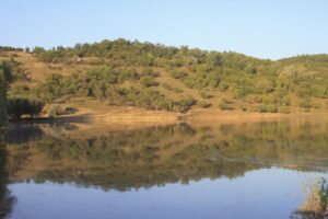 Un râu important din Chișinău riscă să dispară. Nivelul apei a scăzut de patru ori în ultimii ani