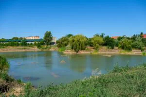 Cum a devenit groapa de gunoi din Satu Mare, plămânul verde al orașului