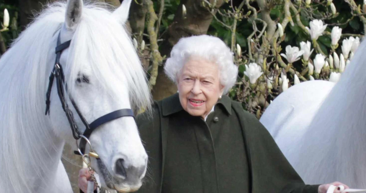 Calul reginei Elisabeta iese din scenă. 14 ani de loialitate pentru Coroană