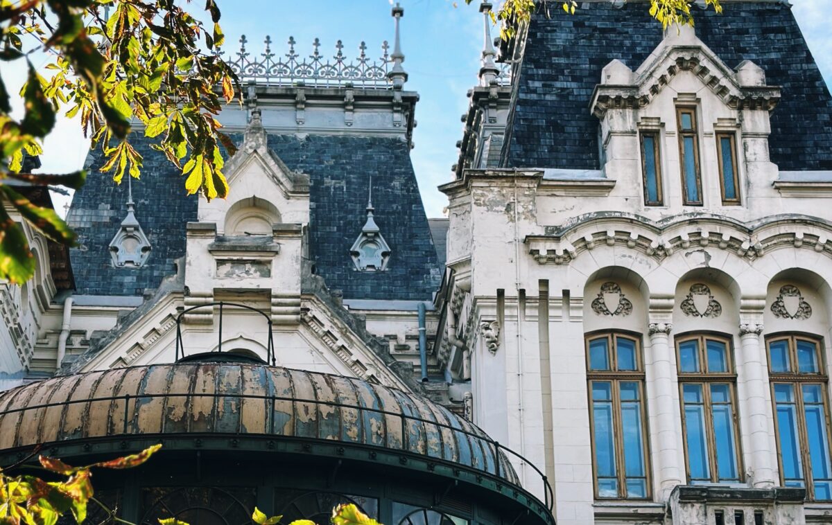 Ana Rubeli, „Aici a Stat”, despre INP: „Situația patrimoniului este deja fragilă. INP nu trebuie să dispară”. Exclusiv